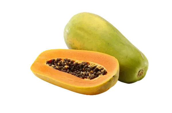 Papaya Nilo Maradol Kg