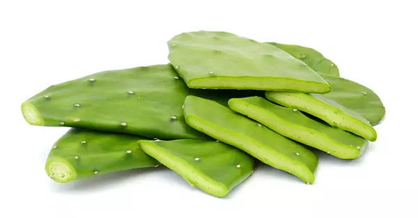 Nopal